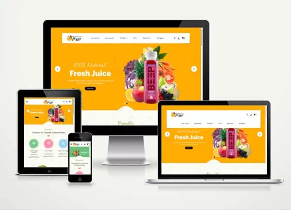 Organik Ürünler E-Ticaret Web Tasarımı